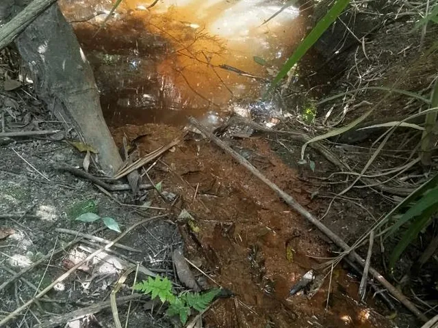Imagem 9: Terreno À Venda em Rio Manso/Mg