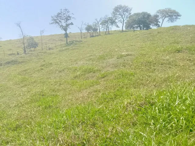 Imagem 6: Terreno À Venda em Rio Manso/Mg