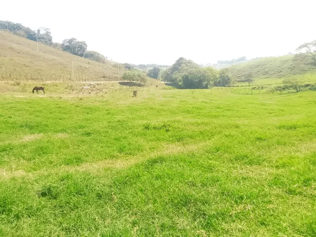 Imagem 8: Terreno À Venda em Rio Manso/Mg