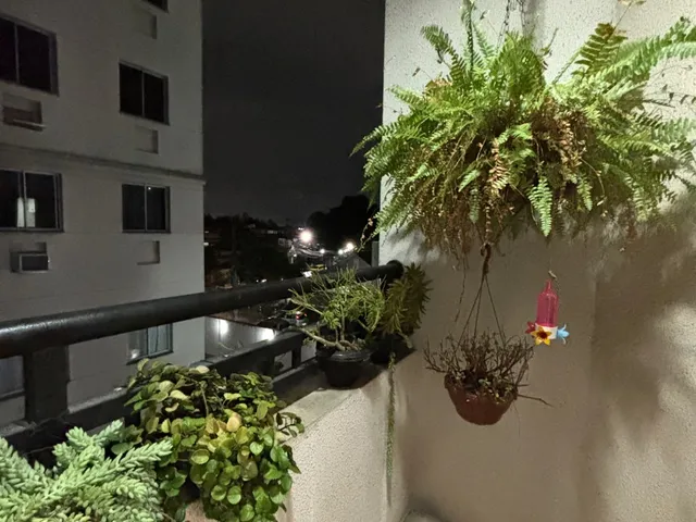 Imagem 7: Venda - Apartamentos 63M2 - Penha - Rio de Janeiro - Rj