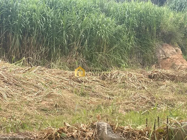 Imagem 5: Área no Bairro Brigadeiro Tobias - em Sorocaba/Sp
