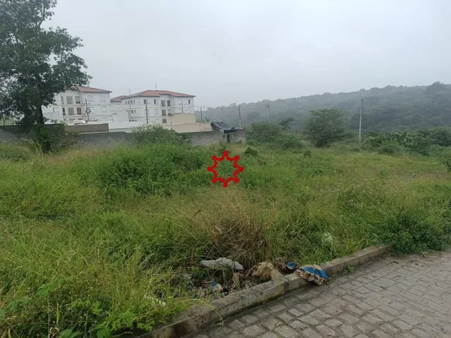 Imagem 3: 0 Terreno / lote com venda por R$90.000