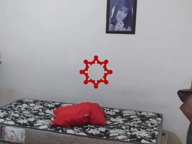 Imagem 5: 0 Casa com 5 dormitórios