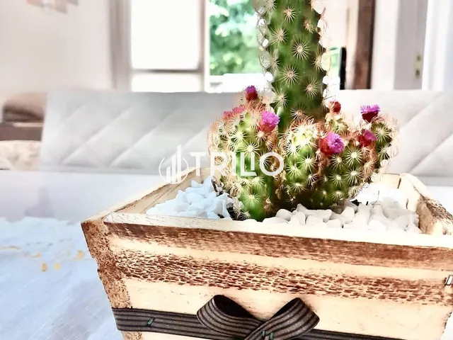 Imagem 11: Apartamento Garden com 3 Quartos, 98M², À Venda em Campinas, Cambuí