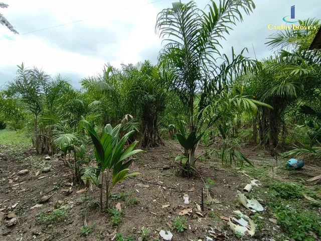Imagem 4: Terreno Rural em Guarapari - Es, Rio Calçado