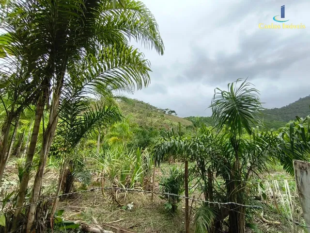 Imagem 14: Terreno Rural em Guarapari - Es, Rio Calçado