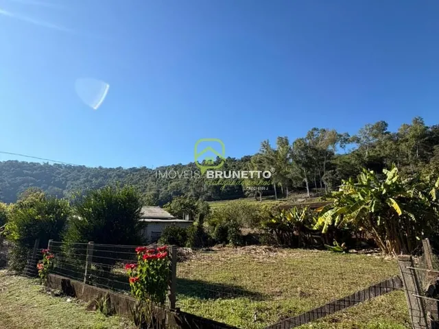 Imagem: Lote Cercado na Barra do Leão