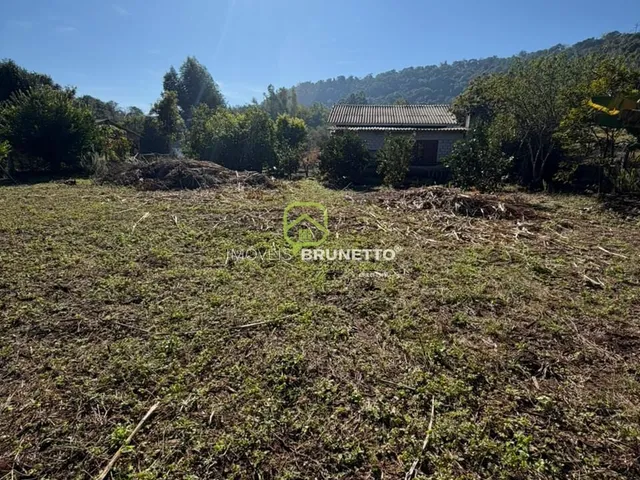 Imagem 9: Lote Cercado na Barra do Leão