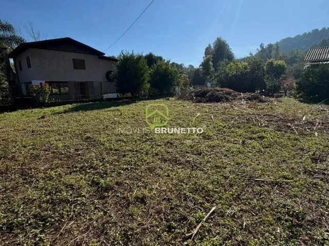 Imagem 8: Lote Cercado na Barra do Leão