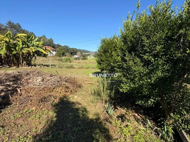 Imagem 2: Lote Cercado na Barra do Leão