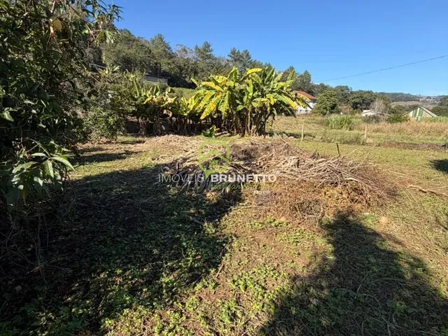 Imagem 5: Lote Cercado na Barra do Leão