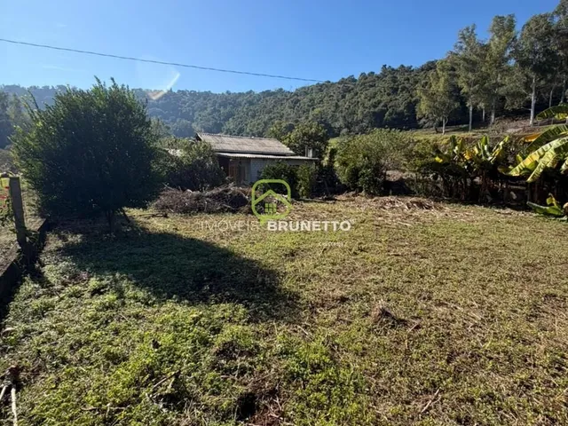 Imagem 11: Lote Cercado na Barra do Leão