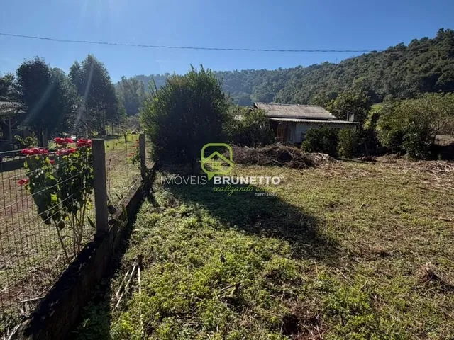 Imagem 10: Lote Cercado na Barra do Leão