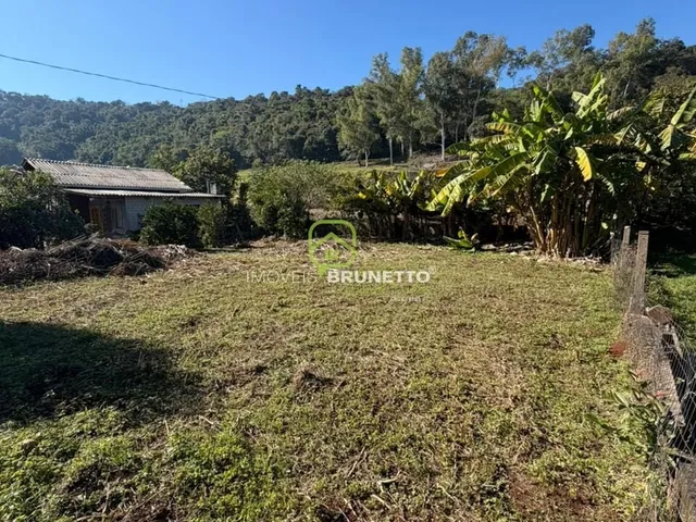 Imagem 7: Lote Cercado na Barra do Leão