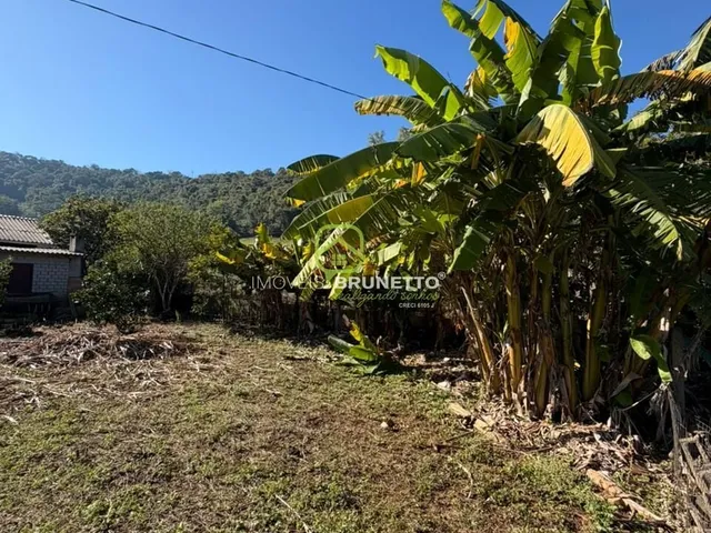 Imagem 3: Lote Cercado na Barra do Leão
