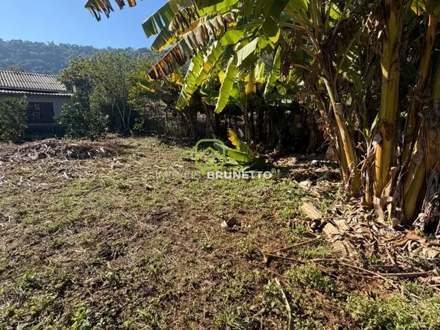 Imagem 6: Lote Cercado na Barra do Leão