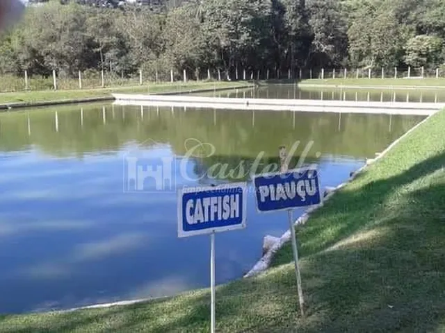 Imagem 2: Chacara para Locação Mensal em Guaragi a 25 Km de Ponta Grossa
