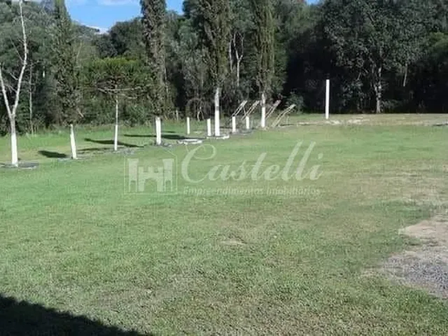 Imagem 9: Chacara para Locação Mensal em Guaragi a 25 Km de Ponta Grossa