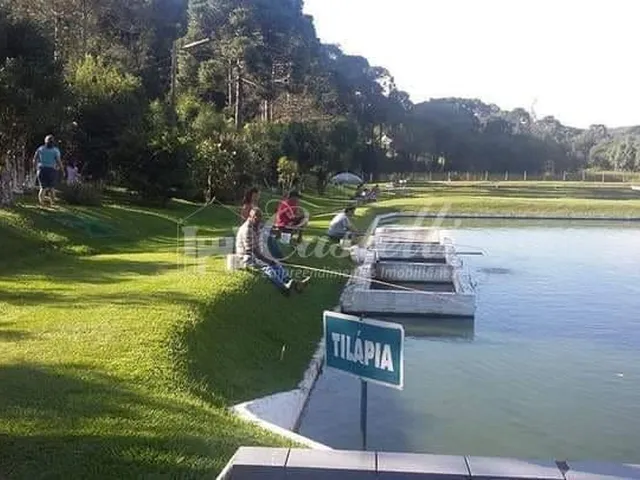 Imagem 10: Chacara para Locação Mensal em Guaragi a 25 Km de Ponta Grossa