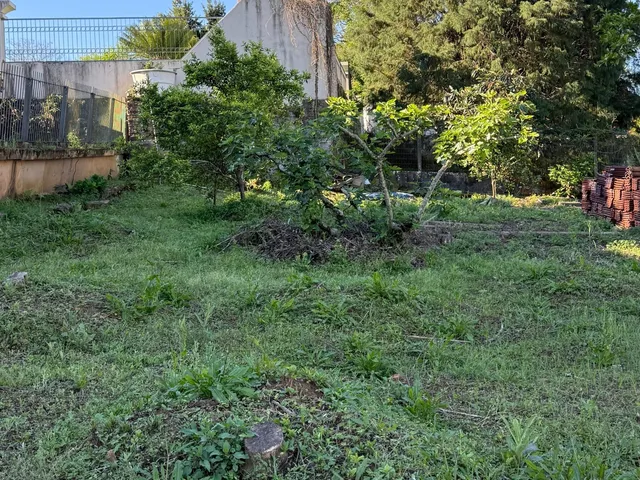 Imagem 5: Casa - Bom Princípio