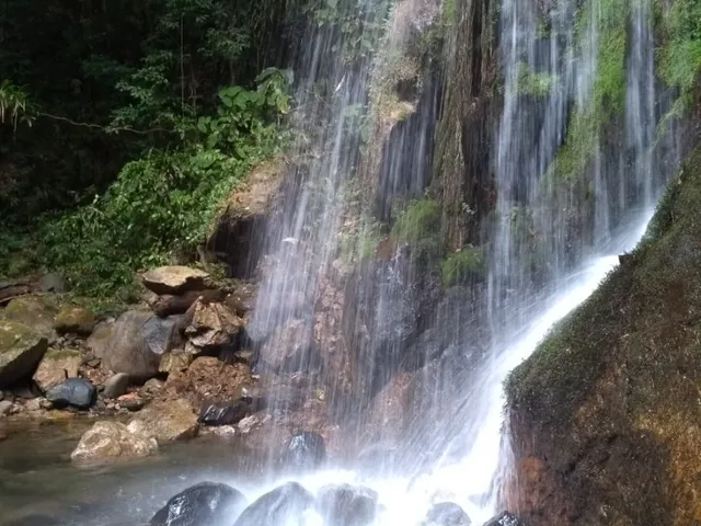 Imagem: Chácara À Venda em Joinville-Sc, 6 Quartos