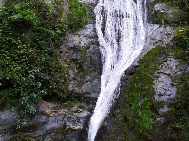 Imagem 6: Chácara À Venda em Joinville-Sc, 6 Quartos, 4 Salas, 6 Banheiros, 6 Vagas, 912.000M² de Área!