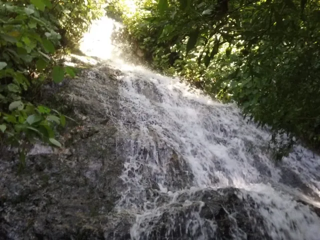 Imagem 3: Chácara À Venda em Joinville-Sc, 6 Quartos, 4 Salas, 6 Banheiros, 6 Vagas, 912.000M² de Área!