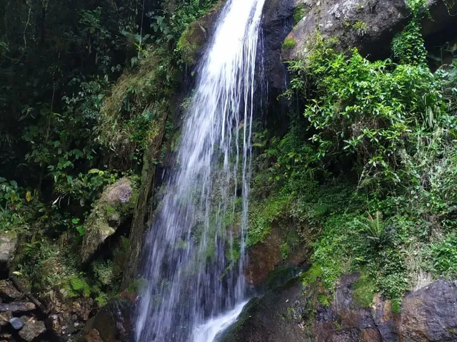Imagem 11: Chácara À Venda em Joinville-Sc, 6 Quartos, 4 Salas, 6 Banheiros, 6 Vagas, 912.000M² de Área!
