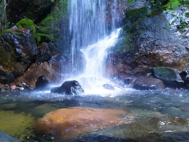 Imagem 5: Chácara À Venda em Joinville-Sc, 6 Quartos, 4 Salas, 6 Banheiros, 6 Vagas, 912.000M² de Área!