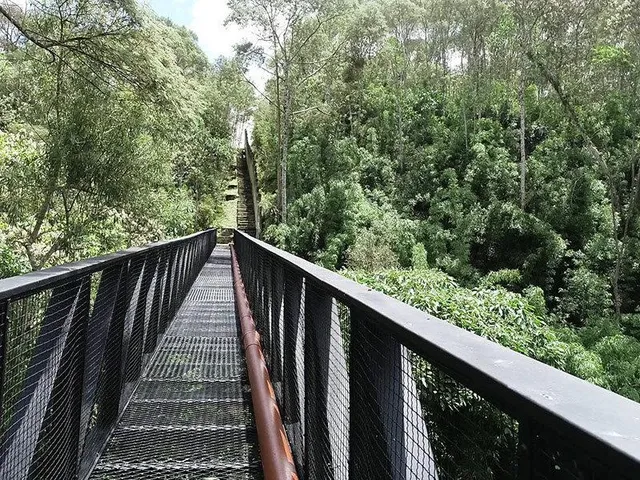 Imagem 12: Land em Campo Magro - Paraná