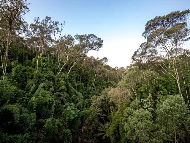 Imagem 3: Land em Campo Magro - Paraná