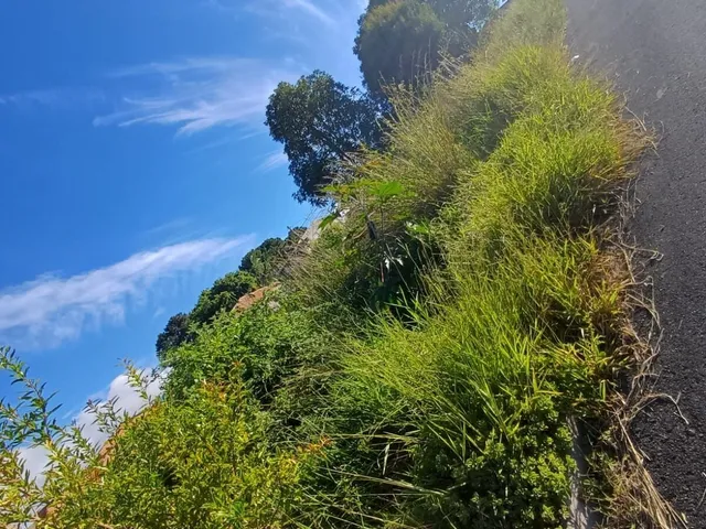 Imagem 3: Terreno Pronto para Construir no Jardim Karla