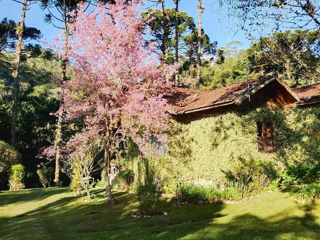 Imagem: House em Bocaina de Minas - Minas Gerais