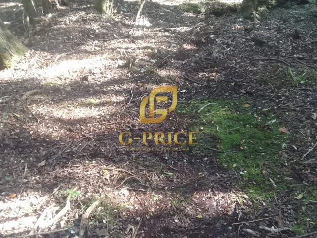 Imagem 2: Excelente Oportunidade 2 Terrenos Fundos Um para o Outro Ao Lado da Coamo