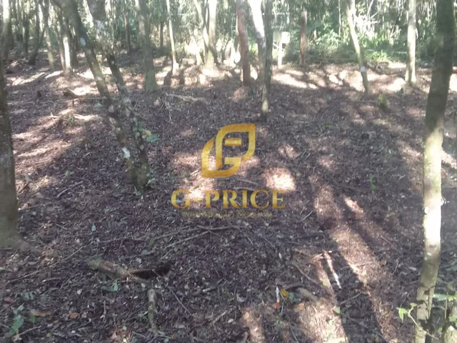 Imagem 6: Excelente Oportunidade 2 Terrenos Fundos Um para o Outro Ao Lado da Coamo