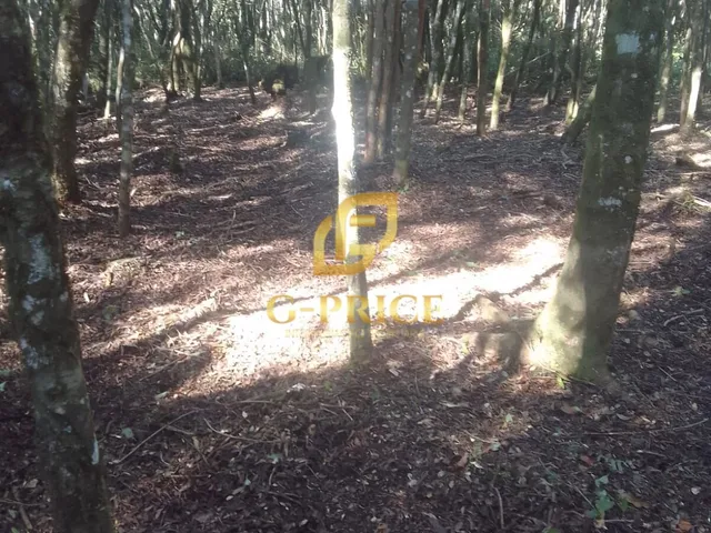 Imagem 3: Excelente Oportunidade 2 Terrenos Fundos Um para o Outro Ao Lado da Coamo