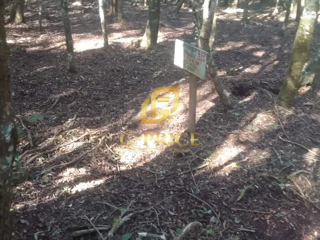 Imagem 2: Excelente Oportunidade de Investimento Terreno Inteiro Cercado