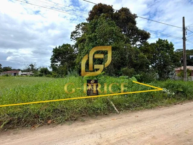 Imagem 7: Lindo Terreno Pronto para Construir À 650 Mts da Praia