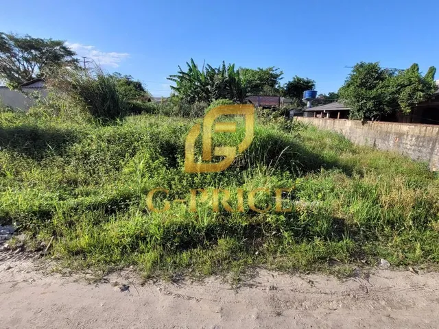 Imagem: Lindo Terreno Pronto para Construir Apenas