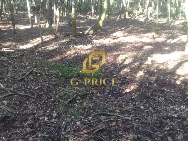 Imagem 8: Ótima Oportunidade de Investimento Terreno Inteiro Ao Lado da Coamo