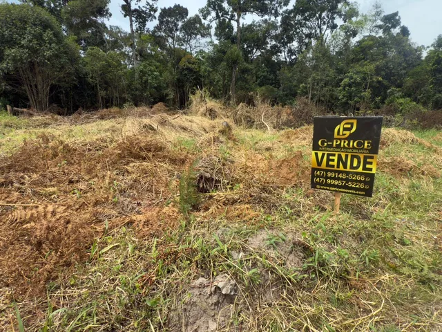 Imagem 7: Excelente Terreno Sem Vegetação Pronto para Construir