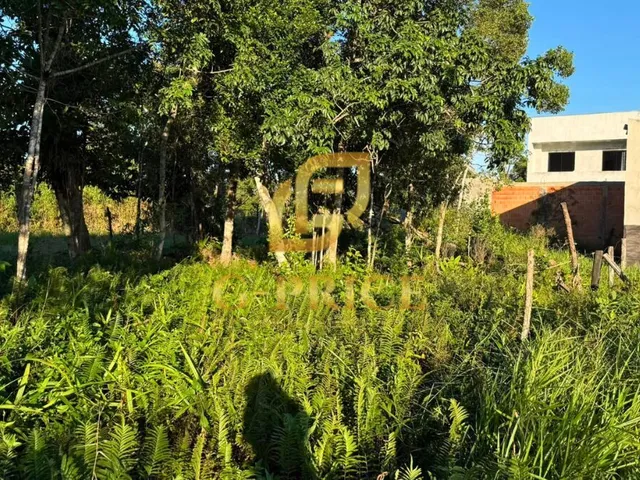 Imagem: Excelente Terreno Localizado a 600 Mts do