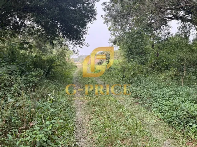 Imagem 5: Oportunidade de Investimento Terreno Inteiro com Acesso Até o Lote