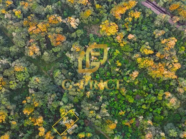 Imagem 2: Oportunidade de Investimento Terreno Inteiro com Acesso Até o Lote