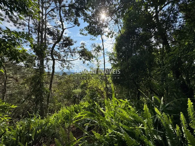 Imagem: Terreno Residencial em Campos do Jordão