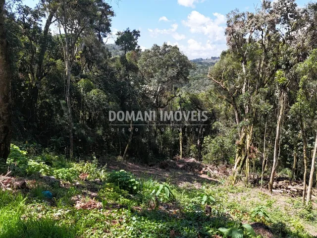 Imagem: Terreno Residencial em Campos do Jordão