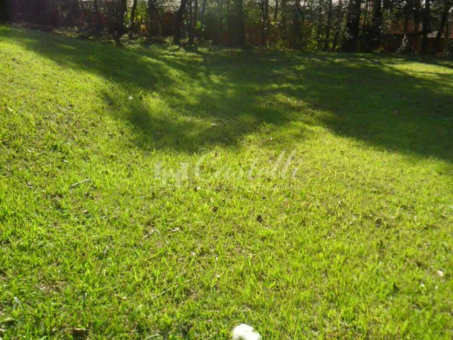 Imagem 2: Terreno À Venda, Jardim Carvalho, Ponta Grossa - Pr