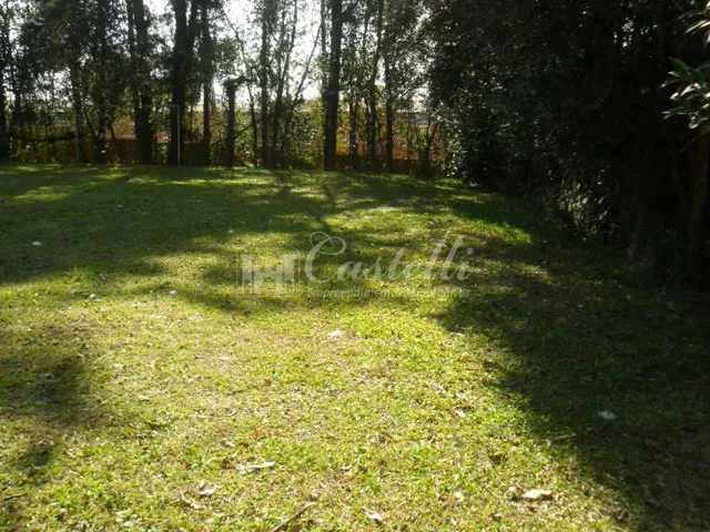 Imagem 3: Terreno À Venda, Jardim Carvalho, Ponta Grossa - Pr
