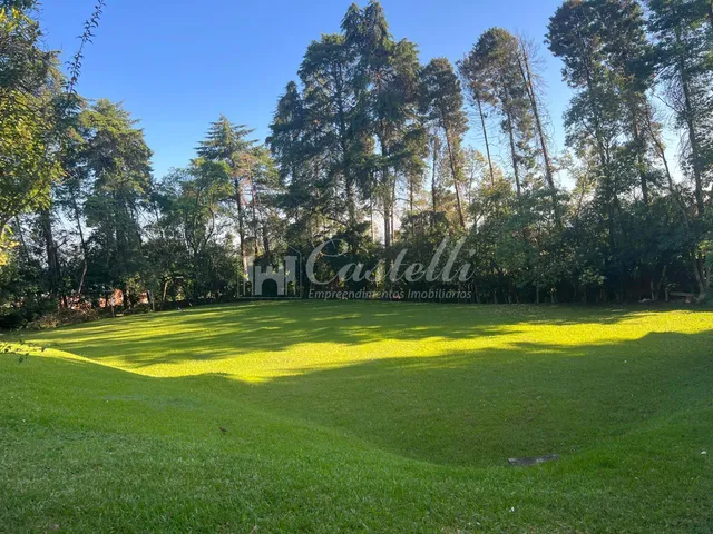 Imagem 2: Terreno À Venda, Jardim Carvalho, Ponta Grossa - Pr