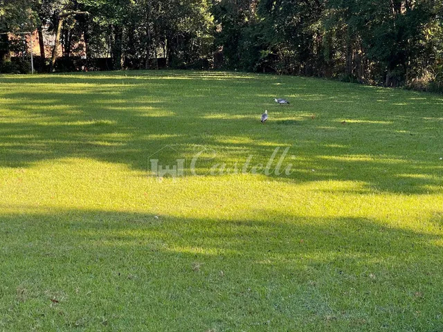 Imagem 2: Terreno À Venda, Jardim Carvalho, Ponta Grossa - Pr